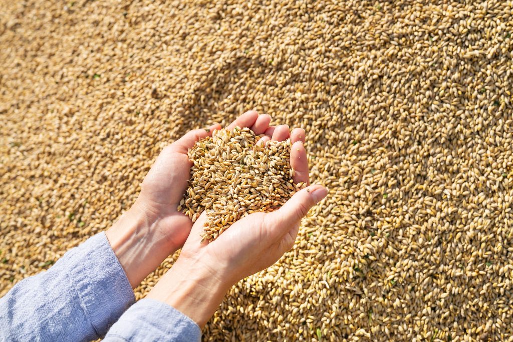 Рашисти вкрали в українських фермерів майже 4 млн тонн зерна