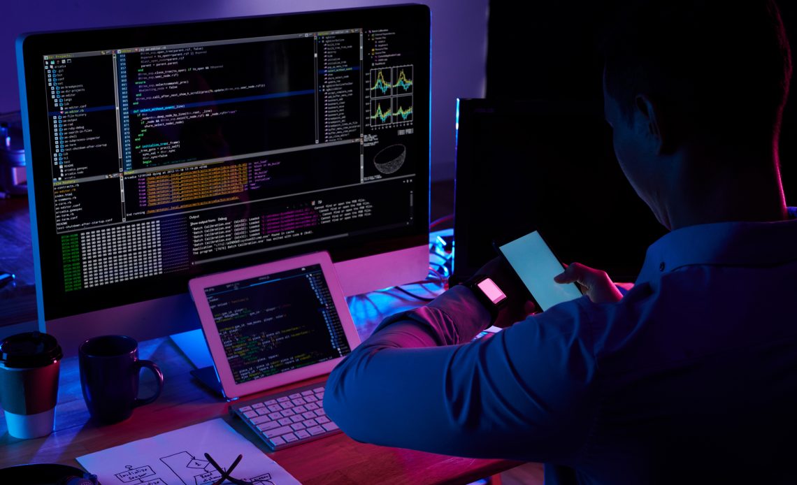 cyber fraud