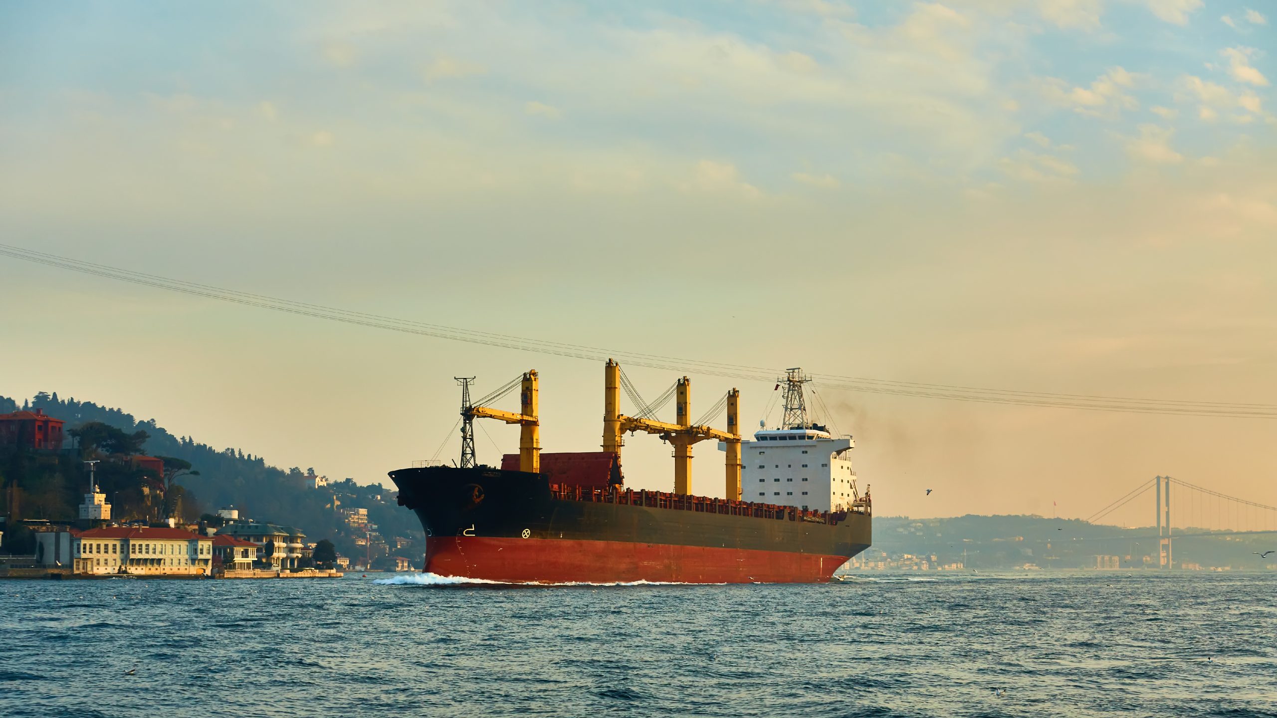 bulk-carrier-in-bosphorus