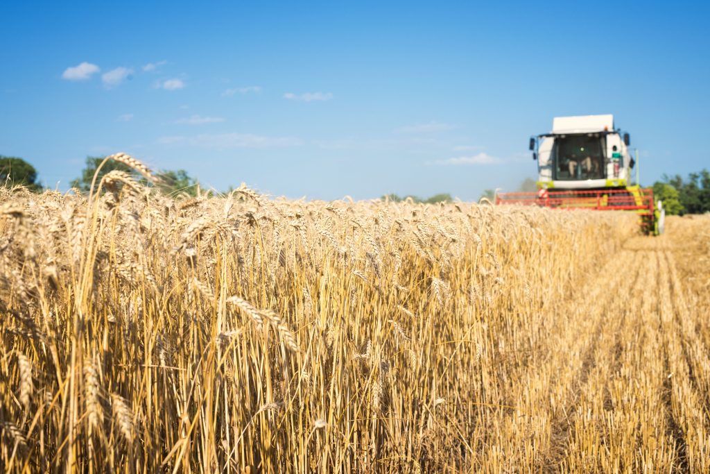 Ukraine Announces on Holodomor Remembrance Day Its Intention to Send Grain to Poorest Countries in Africa