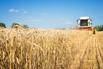 У День пам’яті жертв голодоморів Україна оголосила про відправку зерна найбіднішим країнам Африки