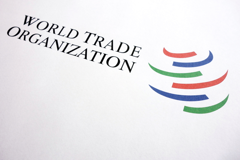 Kyiv Wants to Involve World Trade Organisation in Peace Formula Implementation