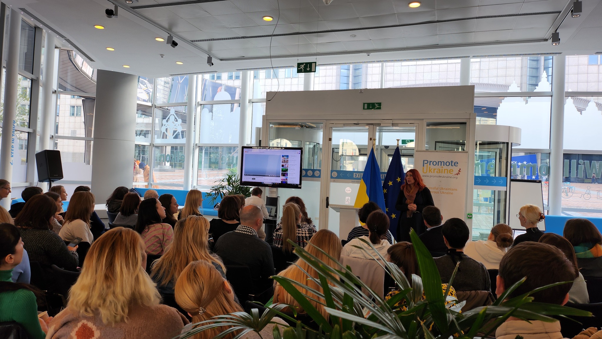the Promote Ukraine Connect project.