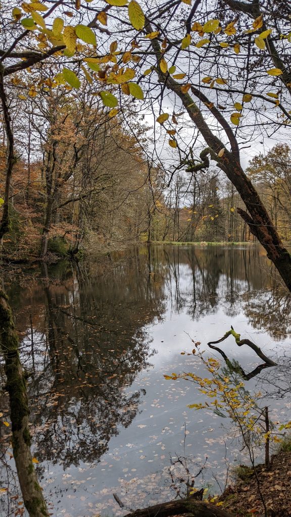 During the past two months, Prostir from Promote Ukraine has organized two hikes in stunning locations across Belgium