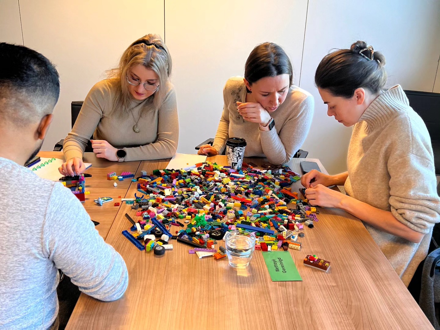 program for expatriates in Belgium
